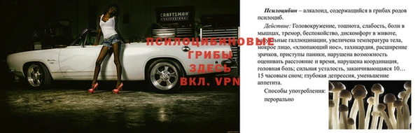 винт Надым