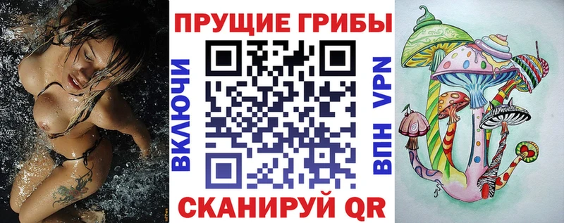 закладки  Владикавказ  дарк нет формула  Галлюциногенные грибы Cubensis 