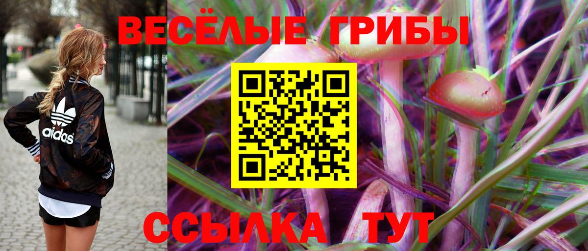 Псилоцибиновые грибы мухоморы Владикавказ