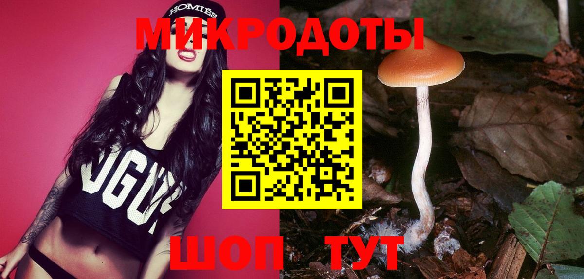 Владикавказ  Псилоцибиновые грибы мицелий  где купить наркоту  Вход с VPN 