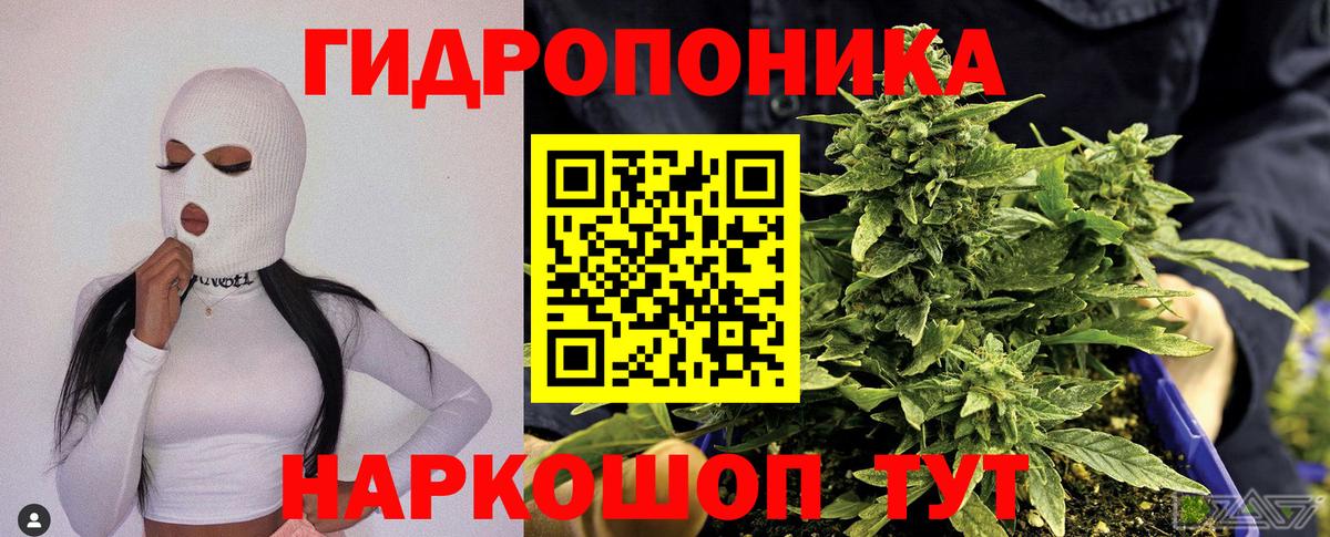 МАРИХУАНА White Widow Владикавказ
